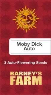 Moby Dick AutoFem