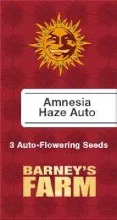 Amnesia Haze AutoFem