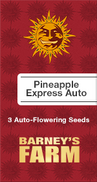 Pineapple Express AutoFem