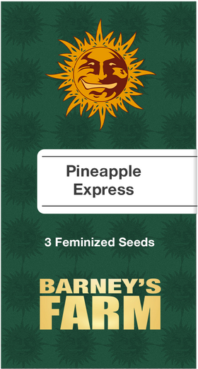 Pineapple Express Fem