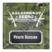 Power Russian Fem