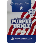 Purple Urkle Fem