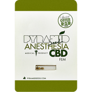 Anesthesia CBD Fem