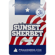 Sunset Sherbet Fem