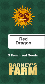 Red Dragon Fem