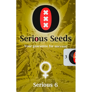 Serious 6 Fem