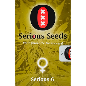 Serious 6 Fem