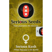 Serious Kush Fem