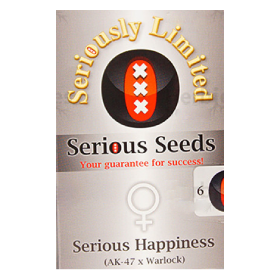 Serious Happiness Fem