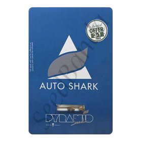 Shark AutoFem