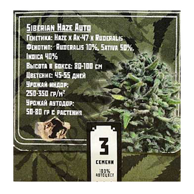 Siberian Haze AutoFem