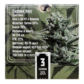 Siberian Haze Fem