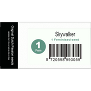 Skywalker Fem