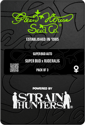 Super Bud AutoFem