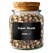 Super Skunk Auto