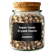 Super Sonic Crystal Storm AutoFem