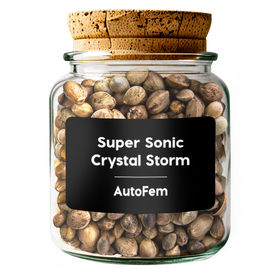 Super Sonic Crystal Storm AutoFem