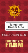Tangerine Dream AutoFem