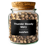 Thunder Bloody Mary AutoFem