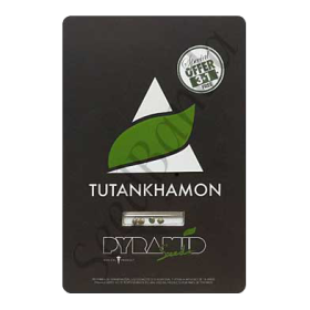 Tutankhamon Fem