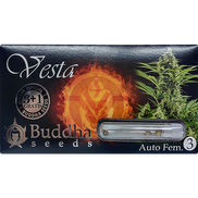 Vesta AutoFem