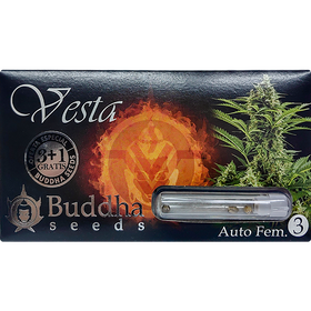 Vesta AutoFem
