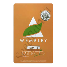 Wembley Fem