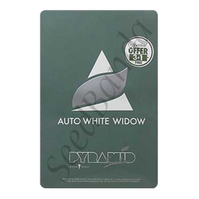 White Widow AutoFem