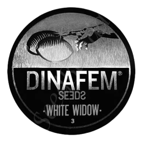 White Widow Fem