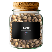 Zoap