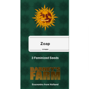 Zoap Fem